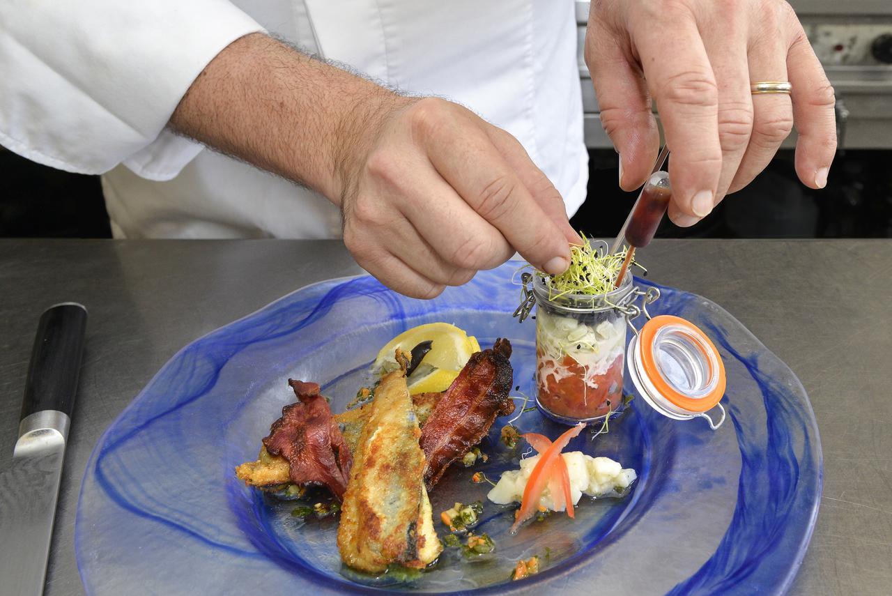 Logis Hotels Restaurant Le Dauphin Salbris Esterno foto