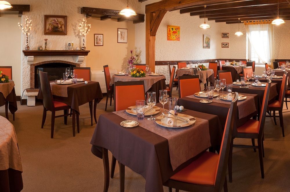 Logis Hotels Restaurant Le Dauphin Salbris Esterno foto