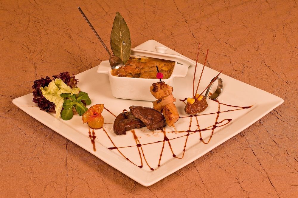 Logis Hotels Restaurant Le Dauphin Salbris Esterno foto