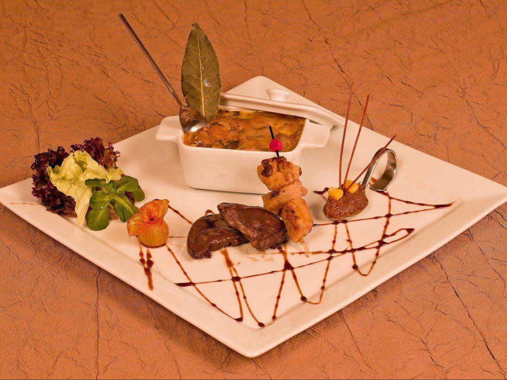 Logis Hotels Restaurant Le Dauphin Salbris Esterno foto